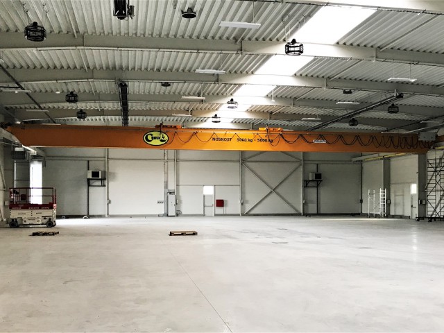 Overhead Crane with Special Hoist